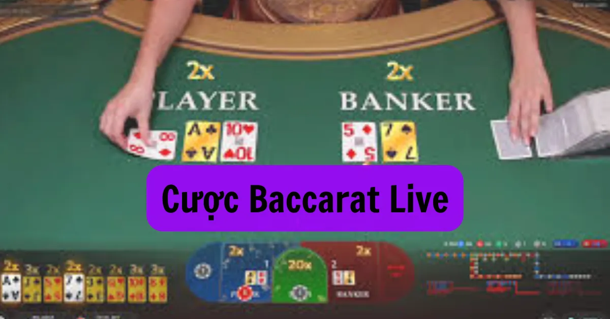 Cược Baccarat live