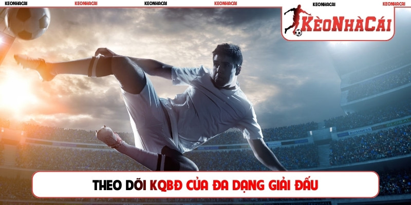 Theo dõi KQBĐ của đa dạng giải đấu